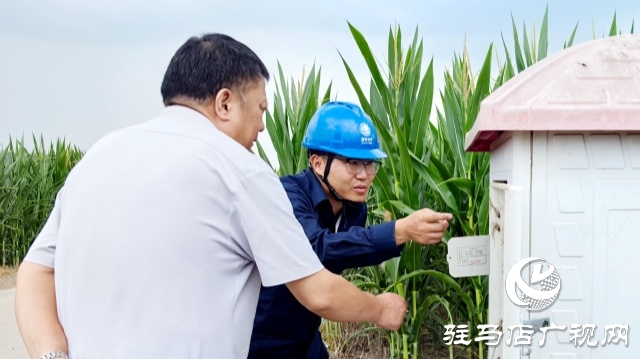 國網(wǎng)平輿縣供電公司:服務(wù)到井臺 保電助抗旱