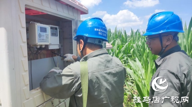 國網(wǎng)遂平縣供電公司:抗旱保供電 服務(wù)到田間