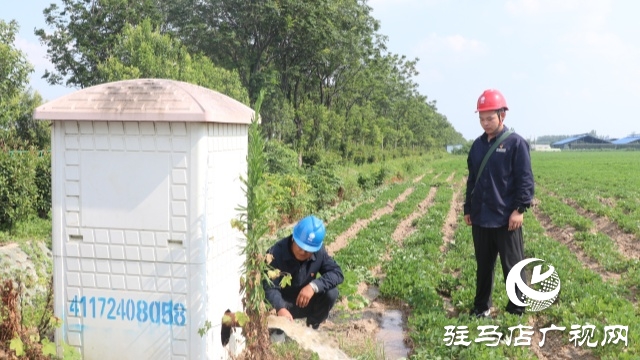 國網(wǎng)正陽縣供電公司:電力護(hù)航戰(zhàn)旱情 清流潤田解民憂