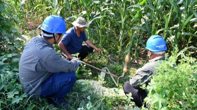 國網(wǎng)確山縣供電公司:開辟用電報(bào)裝“綠色通道”隨時(shí)響應(yīng)抗旱保秋用電需求