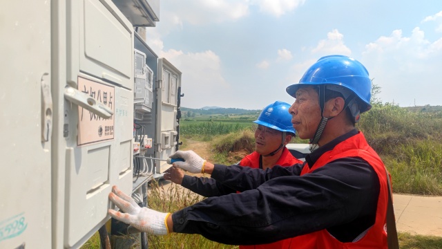 國網泌陽縣供電公司:積極開展“抗旱保供黨員先行”主題黨日活動