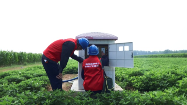 國網泌陽縣供電公司:積極開展“抗旱保供黨員先行”主題黨日活動