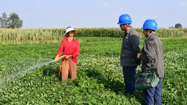 國網(wǎng)確山縣供電公司:開辟用電報(bào)裝“綠色通道”隨時(shí)響應(yīng)抗旱保秋用電需求