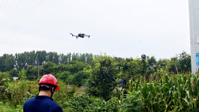 國網平輿縣供電公司:激光除患護線路 高效運維有保障