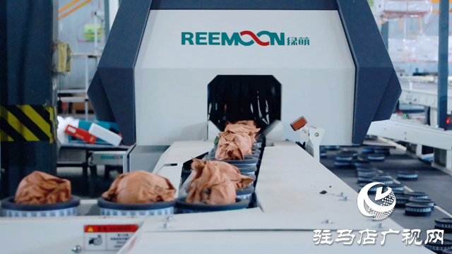 新蔡縣:3000畝金果梨園喜迎豐收季