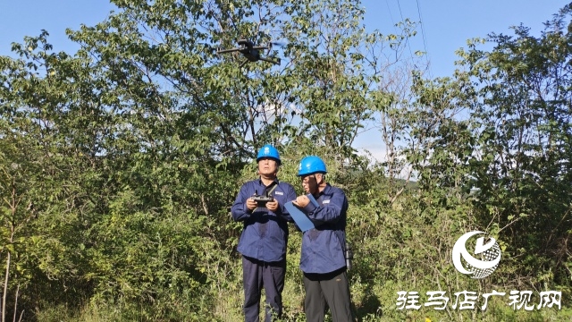 國網確山縣供電公司:奮戰“秋老虎”,織密“清涼網”