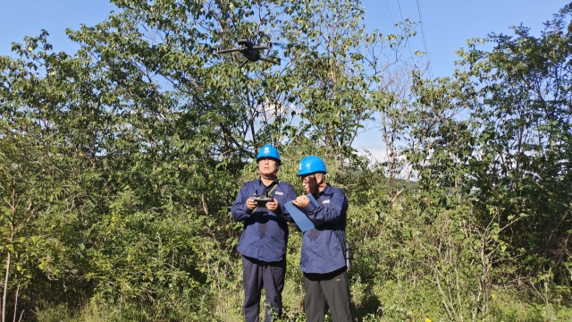 國網確山縣供電公司：奮戰“秋老虎”，織密“清涼網”