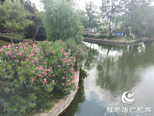 駐馬店：園林增色繪新景 綠意滿城綻芳華