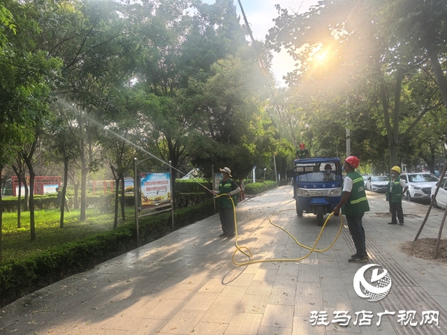  西平縣多舉措應(yīng)對白粉虱“擾民”