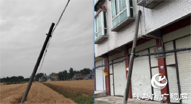 駐馬店聯(lián)通平輿縣分公司采用無人機(jī)+AI算法高效開展倒斷桿巡檢工作