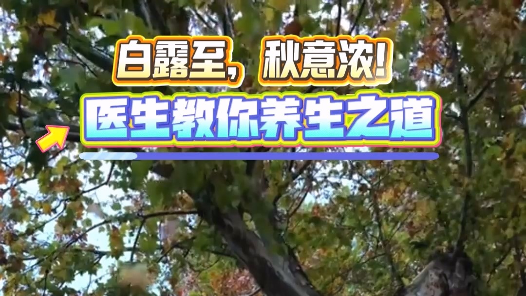 白露至，秋意濃！駐馬店市中醫(yī)院醫(yī)生教你養(yǎng)生之道