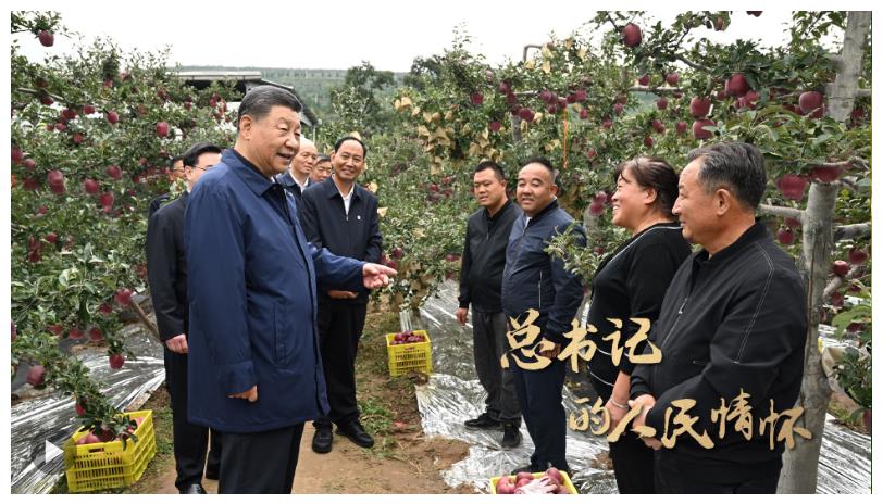 總書記的人民情懷丨“以加快農(nóng)業(yè)農(nóng)村現(xiàn)代化更好推進(jìn)中國式現(xiàn)代化建設(shè)”