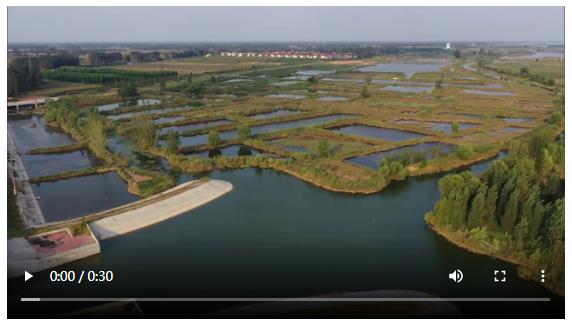 大河之南，綠潤中原！央視《經濟半小時》今晚聚焦河南