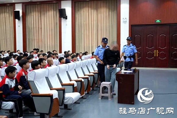  平輿縣人民法院：解鎖“開(kāi)學(xué)第一課”新上“法”