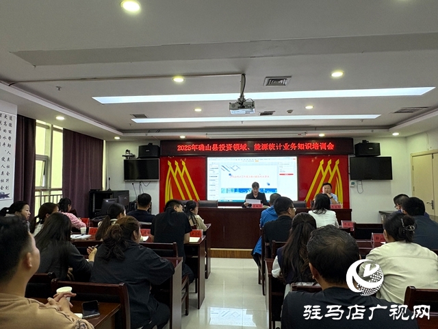 確山縣統計局舉辦2025年投資、能源領域統計業務知識培訓會