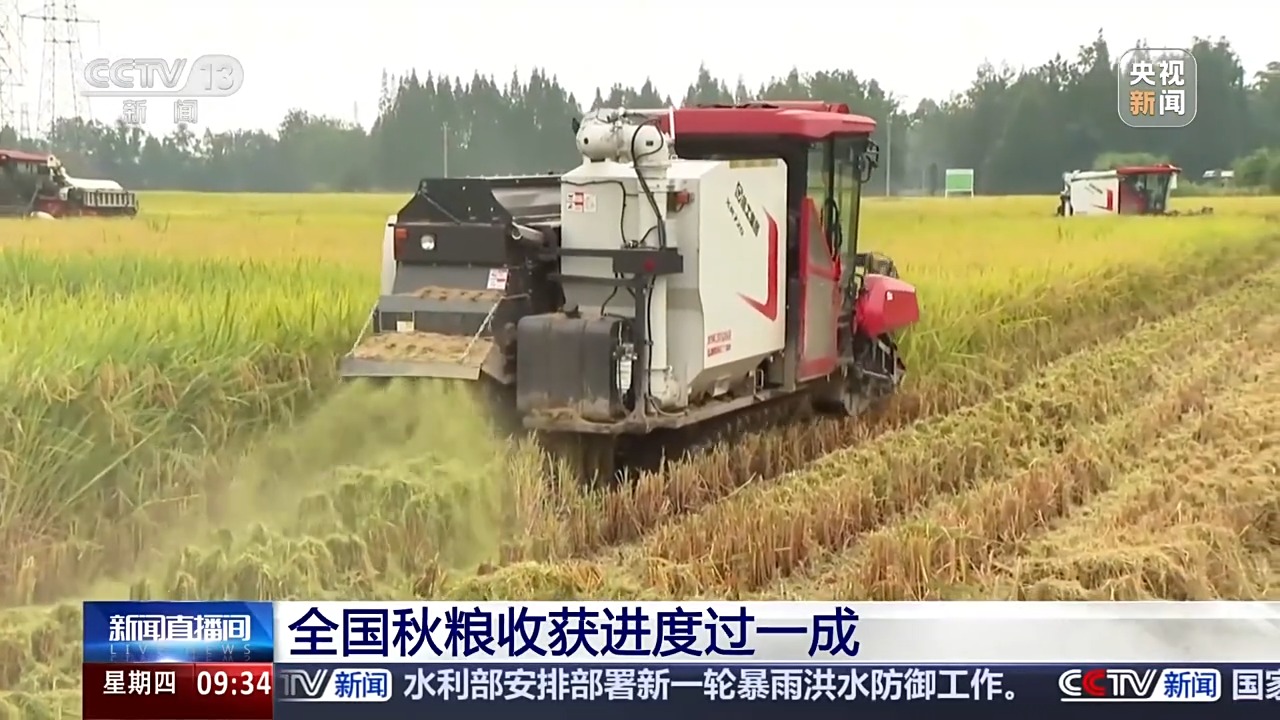 豐收進度條刷新中 全國秋糧收獲進度過一成