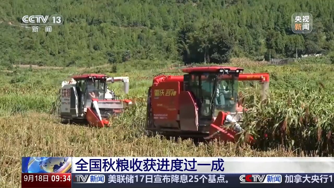 豐收進度條刷新中 全國秋糧收獲進度過一成