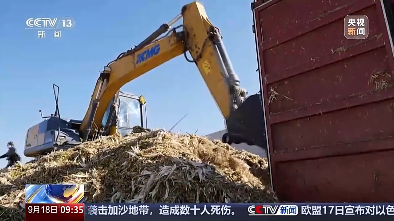 豐收進度條刷新中 全國秋糧收獲進度過一成