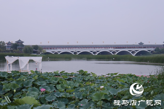 印象練江湖熙汐水岸主題樂(lè)園開(kāi)業(yè) 解鎖“城市微度假”新體驗(yàn)