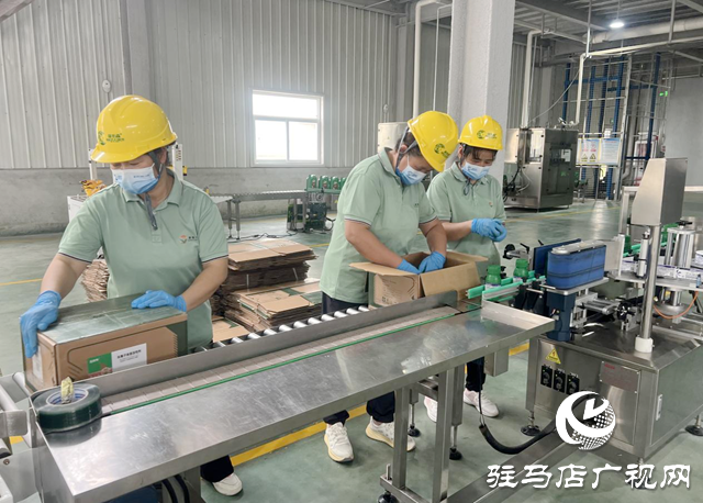 康拓森(駐馬店)生物科技:創新驅動 聚力攻堅 三季度沖刺成效顯著