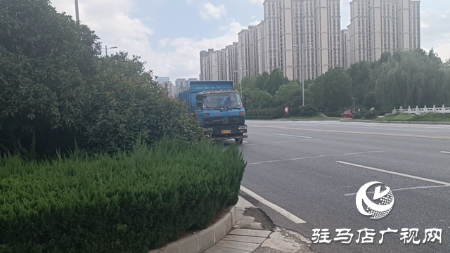 綠化帶瘋長遮擋視線 市民呼吁及時修剪消除隱患