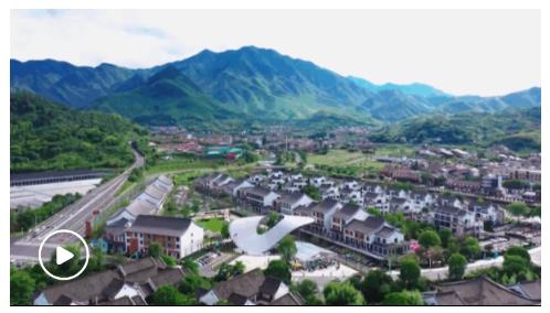 第一視點丨不負青山 金山自來