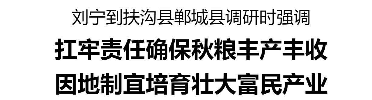 劉寧到扶溝縣鄲城縣調(diào)研