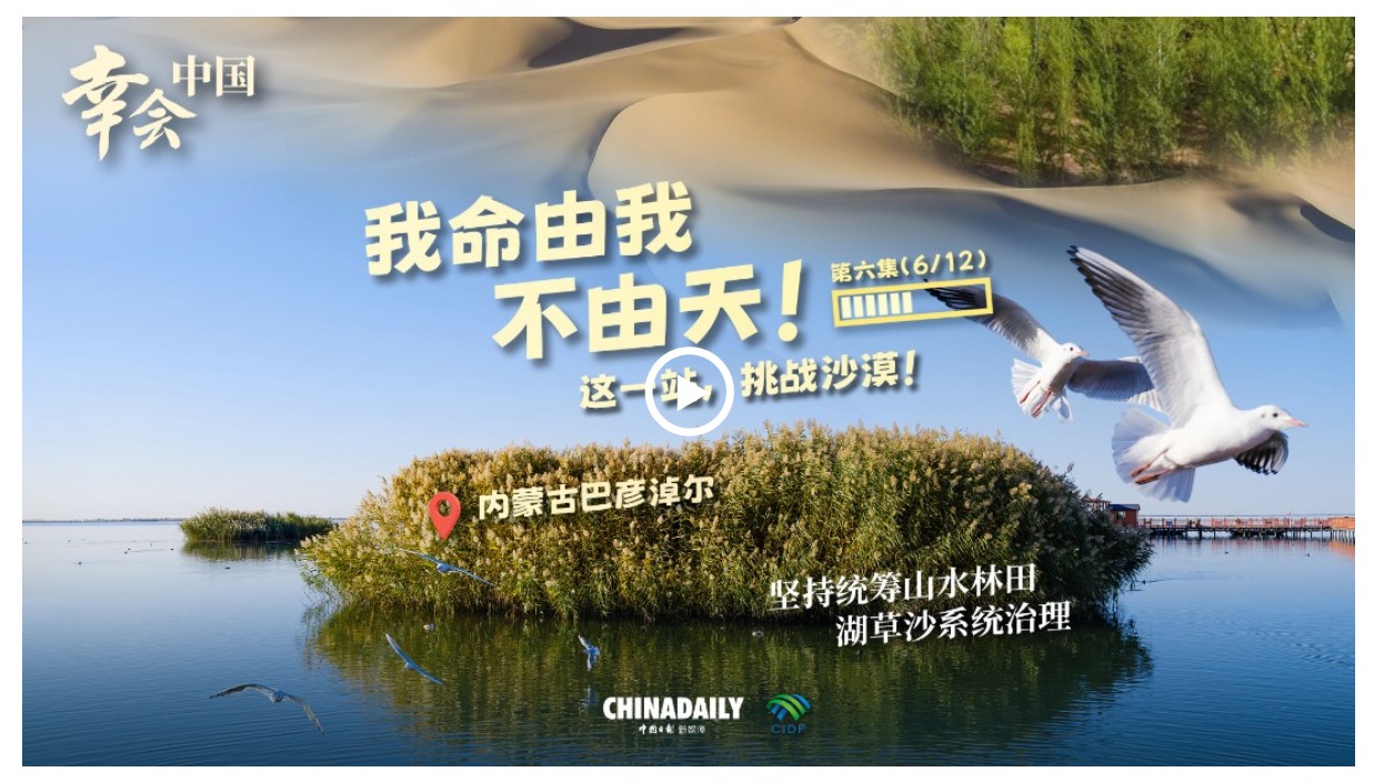 幸會中國 | 荒漠變林海，三北工程繪出生態奇跡