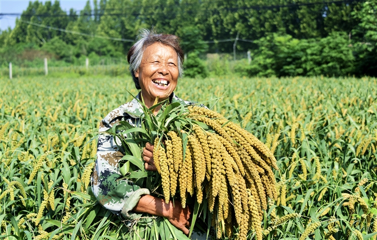 沃野良田豐收正當(dāng)時