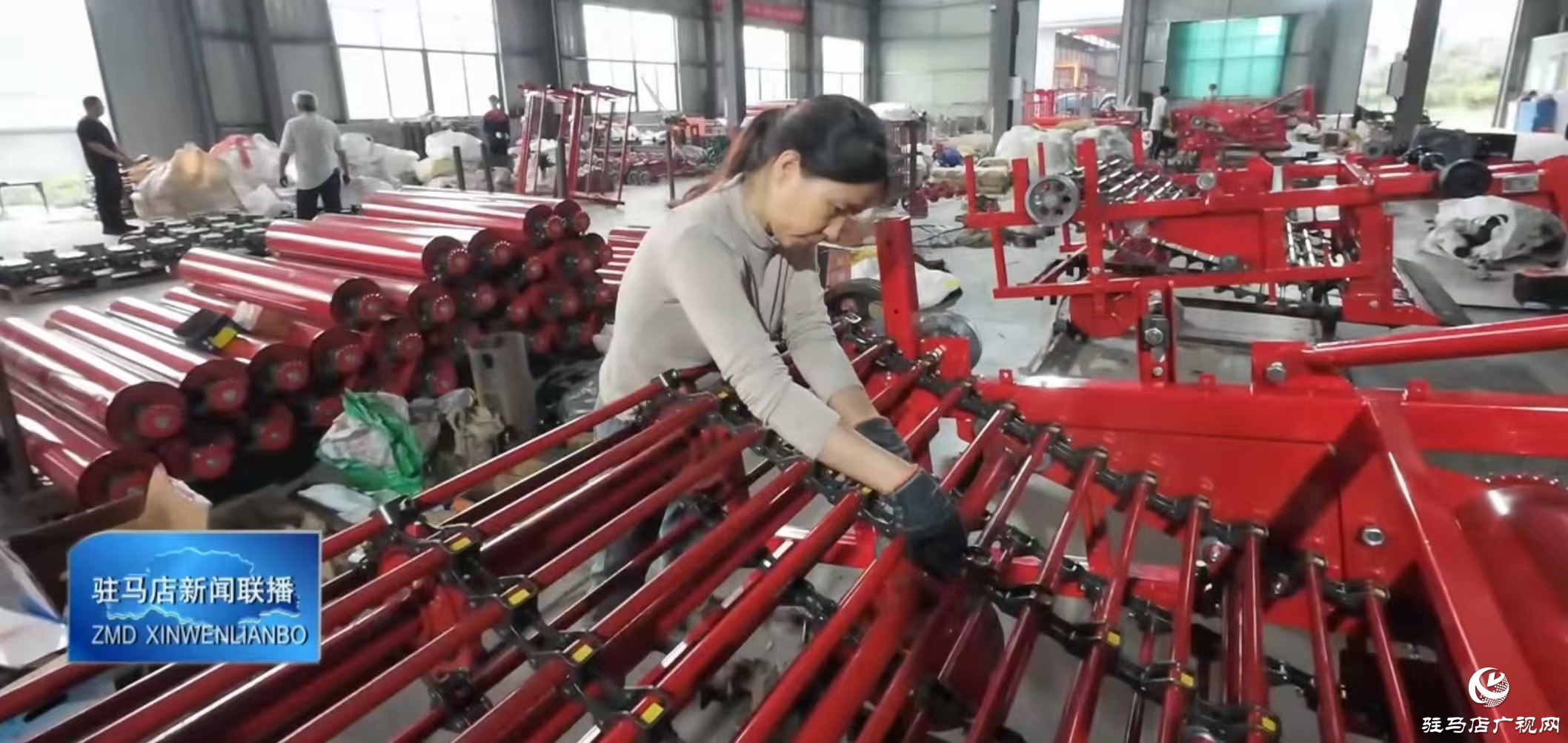 正陽縣:花生機械迎生產高峰 開足馬力助力秋收提速增效