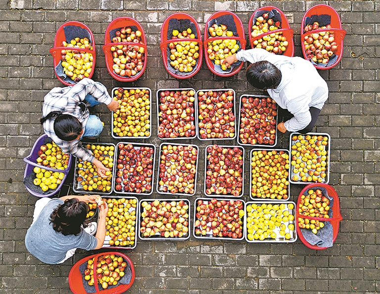 豫見好“豐”景