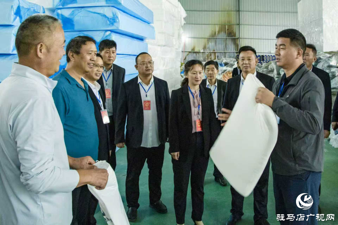 正陽縣清源街道人大代表：深入企業聽訴求 助企紓困解難題