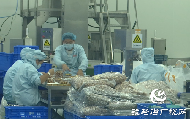 臻味上蔡食品:產銷兩旺趕訂單 創新發展蓄能量