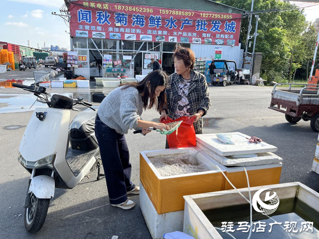 駐馬店市眾信市場水產區供銷兩旺 鮮活水產豐富市民雙節餐桌