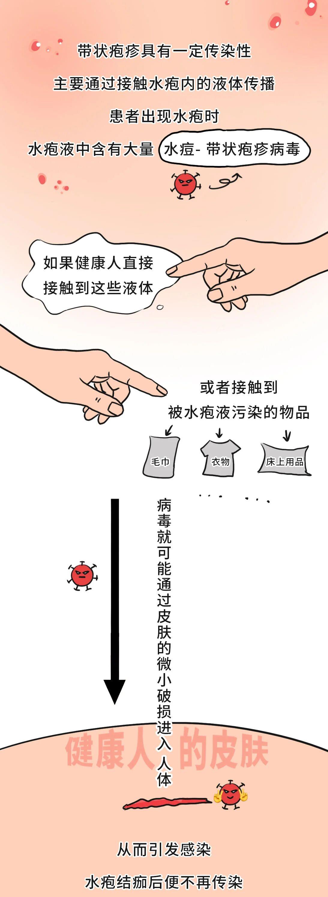 有必要帶爸媽打帶狀皰疹疫苗嗎？一圖了解