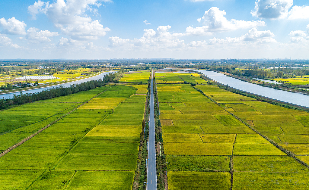 涉及民航鐵路客運發票、金融服務 10月起一批新規將施行