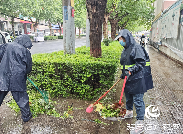 駐馬店經濟開發區開展綠化環境專項整治 以整潔優美城市面貌迎國慶中秋??