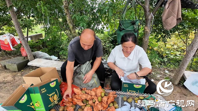 正陽縣閭河鄉：生態種植結碩果 鋪就鄉村振興路