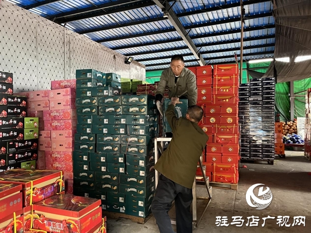 駐馬店市眾信農副產品綜合批發市場：筑牢“雙節”蔬菜、水果保供防線
