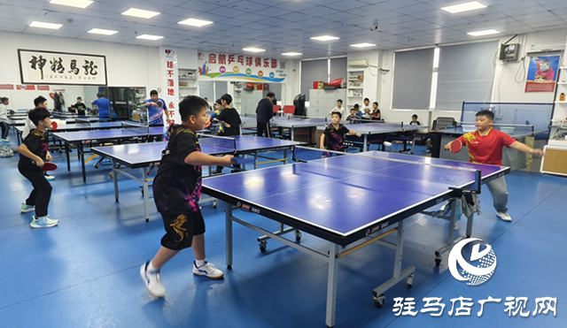 駐馬店青少年乒乓球訓練熱火朝天 小球員揮拍詮釋“少年強”????????