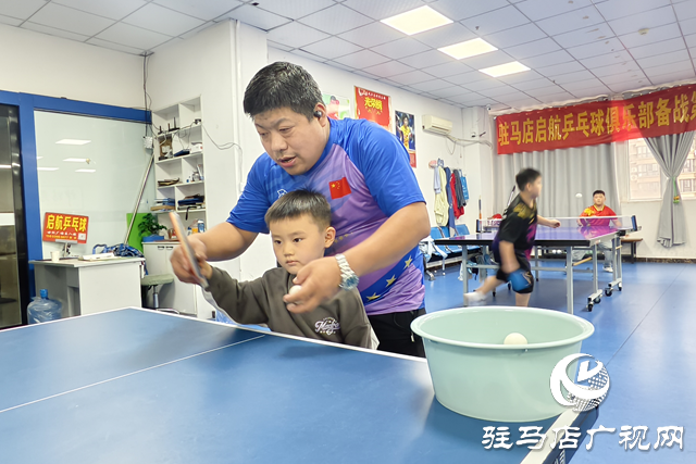 駐馬店青少年乒乓球訓練熱火朝天 小球員揮拍詮釋“少年強”????????