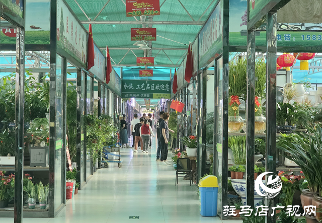 駐馬店:國慶假期花卉市場銷售火熱 繽紛花卉添彩節日氛圍??