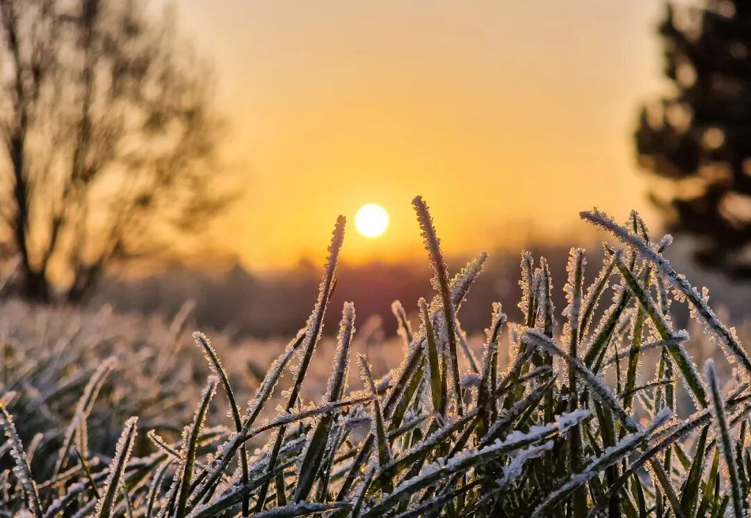 “早寒露”=冷冬預(yù)警?老祖宗的天氣預(yù)測,今年準(zhǔn)不準(zhǔn)?