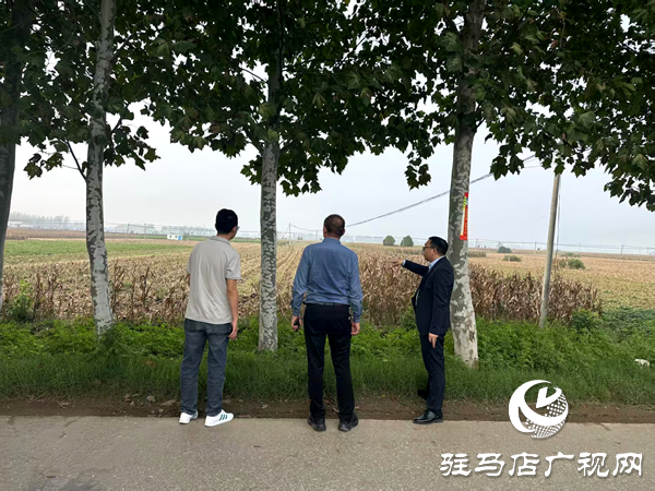 平輿縣射橋鎮:干群同心齊上陣 搶收搶種保歸倉