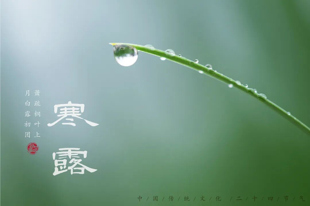 “早寒露”=冷冬預(yù)警?老祖宗的天氣預(yù)測,今年準(zhǔn)不準(zhǔn)?