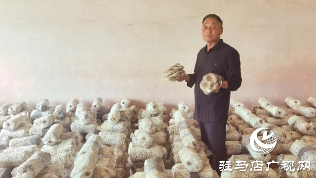 高建林:以食用菌種植助力鄉村振興