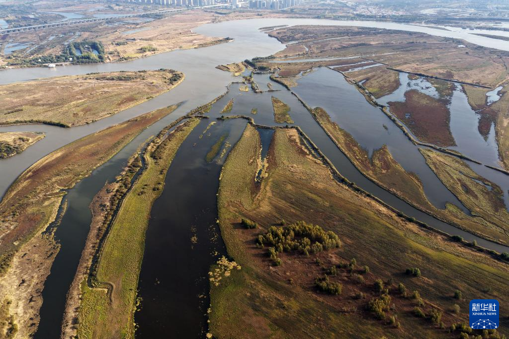 哈爾濱濕地秋韻美