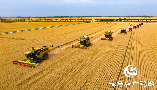 駐馬店:“十四五”???????農業農村現代化扎實推進 鄉村振興邁出堅實步伐?