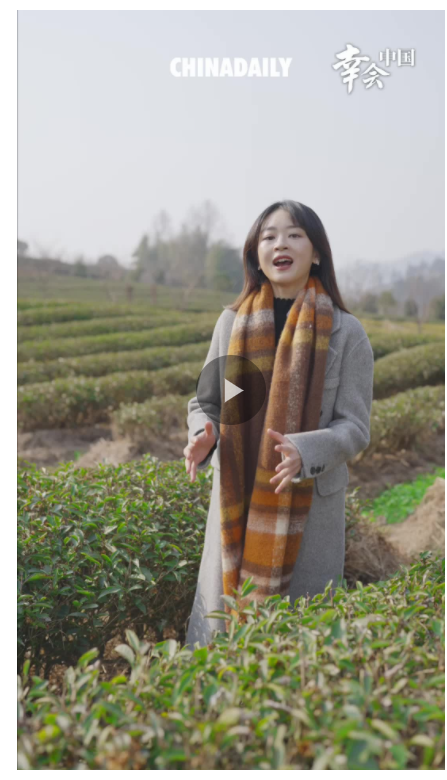 幸會(huì)中國(guó) | 走進(jìn)福建武夷山，看綠水青山如何孕育金山銀山！