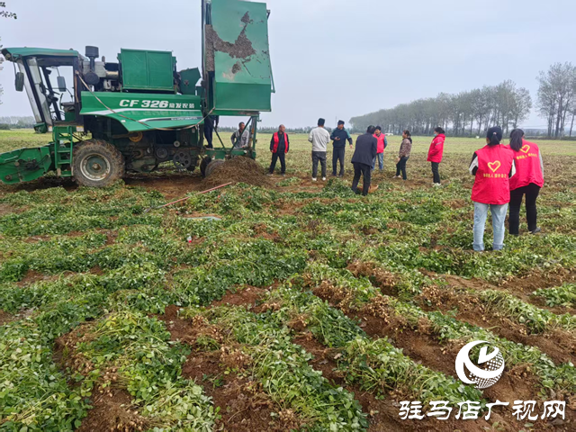 驛城區古城街道:黨建引領搶收一線 黨群合力守護秋糧?